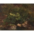 thumbnail image 2 of Gustav Friedrich Papperitz 18x15 Black Ornate Wood Framed Double Matted Museum Art Print Titled - Plant Study (Approx. 1840-1850), 2 of 5