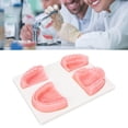 thumbnail image 4 of Kit De Sutura , Kit De Entrenamiento De Sutura Oral, Pinzas Que Mejoran Las Habilidades, Modelo De Silicona Para Estudiantes, 4 of 7