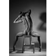 thumbnail image 2 of Belovodchenko, Anton 17x24 Black Ornate Wood Framed with Double Matting Museum Art Print Titled - Bodyscape, 2 of 4