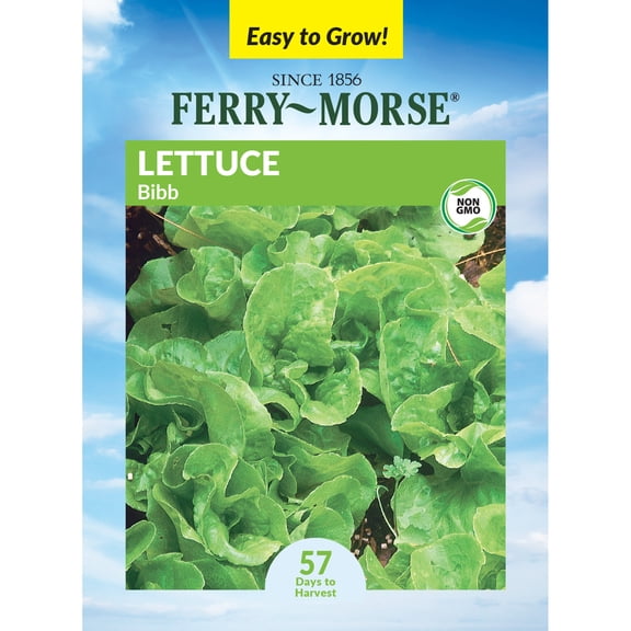 Ferry-Morse 700MG Lettuce Bibb Annual Vegetable Seeds - Full Sun