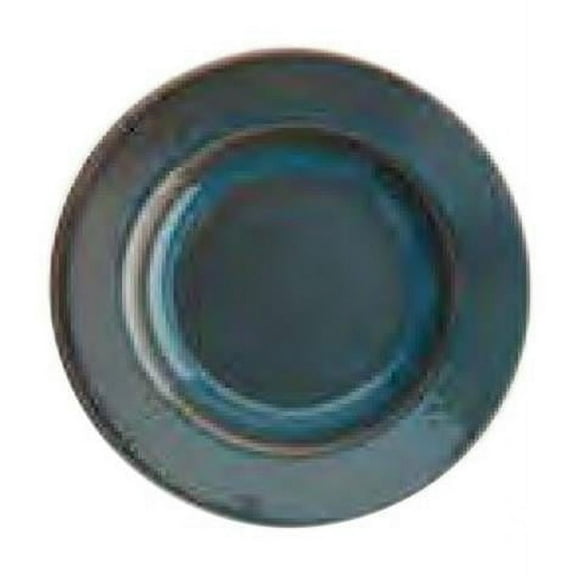 Oneida F1493020748 12.5 oz Terra Verde Porcelain Pasta Entree Dish Plate  Dusk