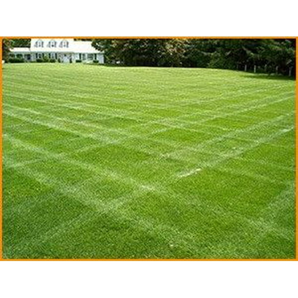 Double Eagle Centipede "Coated"Grass Seed 10 Lbs.