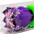 thumbnail image 2 of Vela Musical Euro Toys Deluxe flor Varios Colores 1 Pieza, 2 of 3