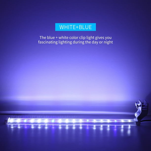 Éclairage d'aquarium ou éclairage LED de terrarium. La couleur de la lumière  bleue et