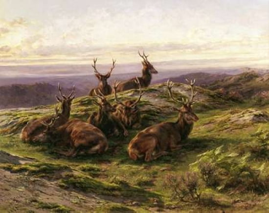 Stags At Rose Canva