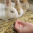 thumbnail image 4 of YardGard 2' x 5' 1/4" Square Mesh Wire Hardware Cloth Poultry Fence, 4 of 6