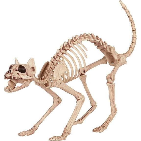 Bilot Skeleton Cat