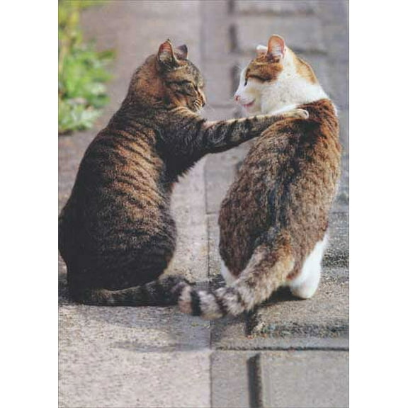 Avanti Press Cat Friends Deluxe Matte Blank Note Card