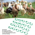 thumbnail image 4 of Chicken Leg Bands, Reusable 100pcs Green Adjustable Chicken Leg Rings Open Type  For Geese, 4 of 8
