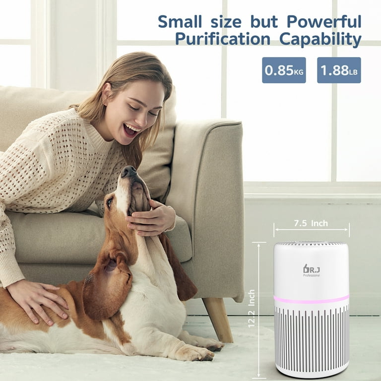 Purifier air purifier discount