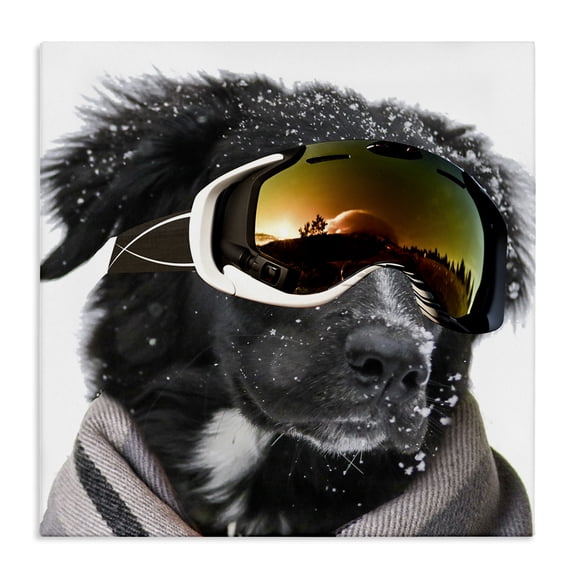 Stupell Industries Snowboarder Dog with Goggles Animals & Insects Painting Gallery Wrapped Canvas Art Print Wall Art, 17 x 17
