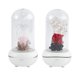 thumbnail image 4 of Difusor de aroma con carga USB, diseño de flor eterna, humidificador LED, purificador, luz nocturna, aromaterapia para decoración del hogar (rosa roja), 4 of 6