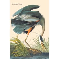 Art.com Great Blue Heron Art Print by John James Audubon, 12" x 18"