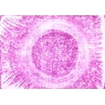 thumbnail image 1 of Ahgly Company Indoor Rectangle Abstract Pink Contemporary Area Rugs, 2' x 5', 1 of 4