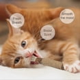 thumbnail image 3 of Chew Sticks Cat Toys, Natural Cat Teeth Nip Cleaning Teeth Chew Catnip Toys For Indoor Cat Teeth Cleaning Kitten Teething And Stress Release, 3 of 5