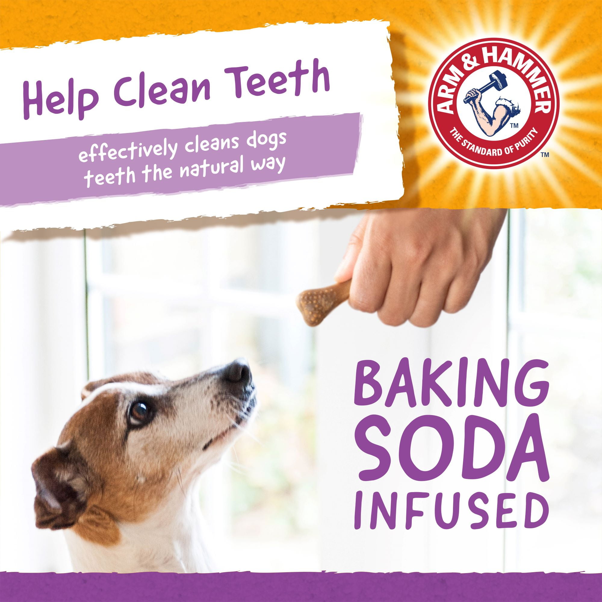 Arm Hammer Nubbies Dental Treats for Dogs Teeth Cleaning Fresh Breath Pet Hygiene Health Peanut Butter Flavor Walmart