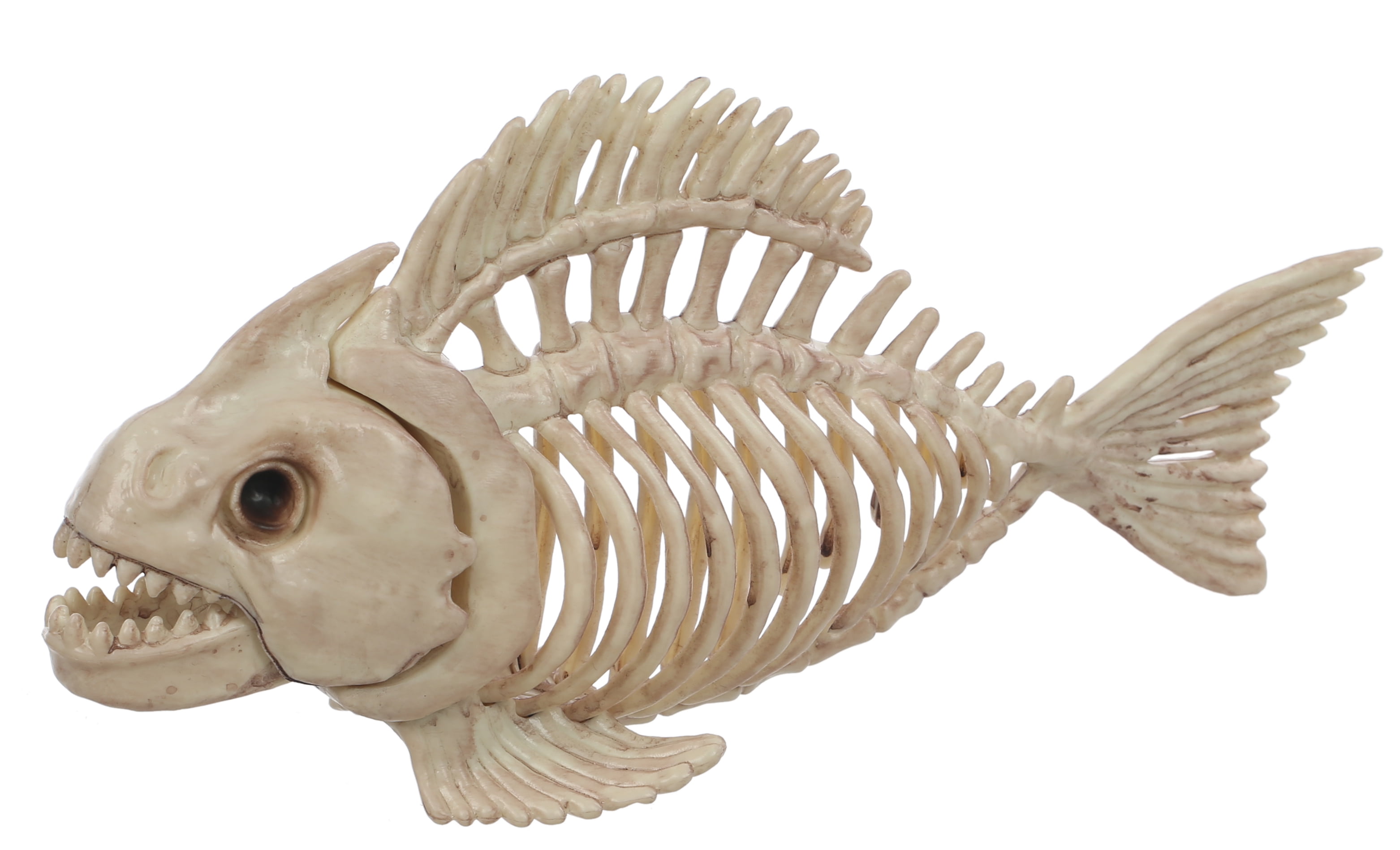 Halloween Faux Fish Skeleton, Bone, 5 in, by Way to Celebrate