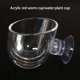 thumbnail image 5 of sweethay 4 piezas de vasos para plantas acuáticas, macetas, alimentador de gusanos de comida transparente con ventosa, piezas de repuesto para Alimentadores automáticos de peces, 5 of 6