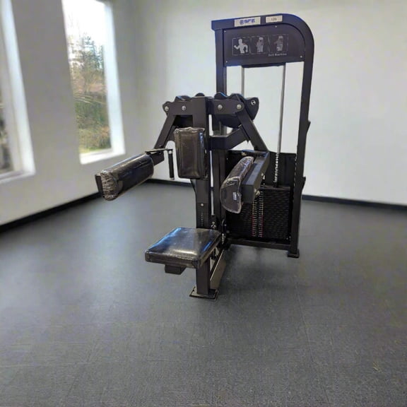 Selectorized Lateral Raise Delt Machine w/ 250lb weight stacks (New)