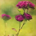 thumbnail image 2 of Jorgensen, Jennifer 15x15 White Modern Wood Framed Museum Art Print Titled - Waiting on Purple IV, 2 of 4