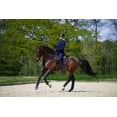 thumbnail image 4 of Equestrian Stockholm Dressage Saddle Pad Leather Deluxe Silver FULL, 4 of 4