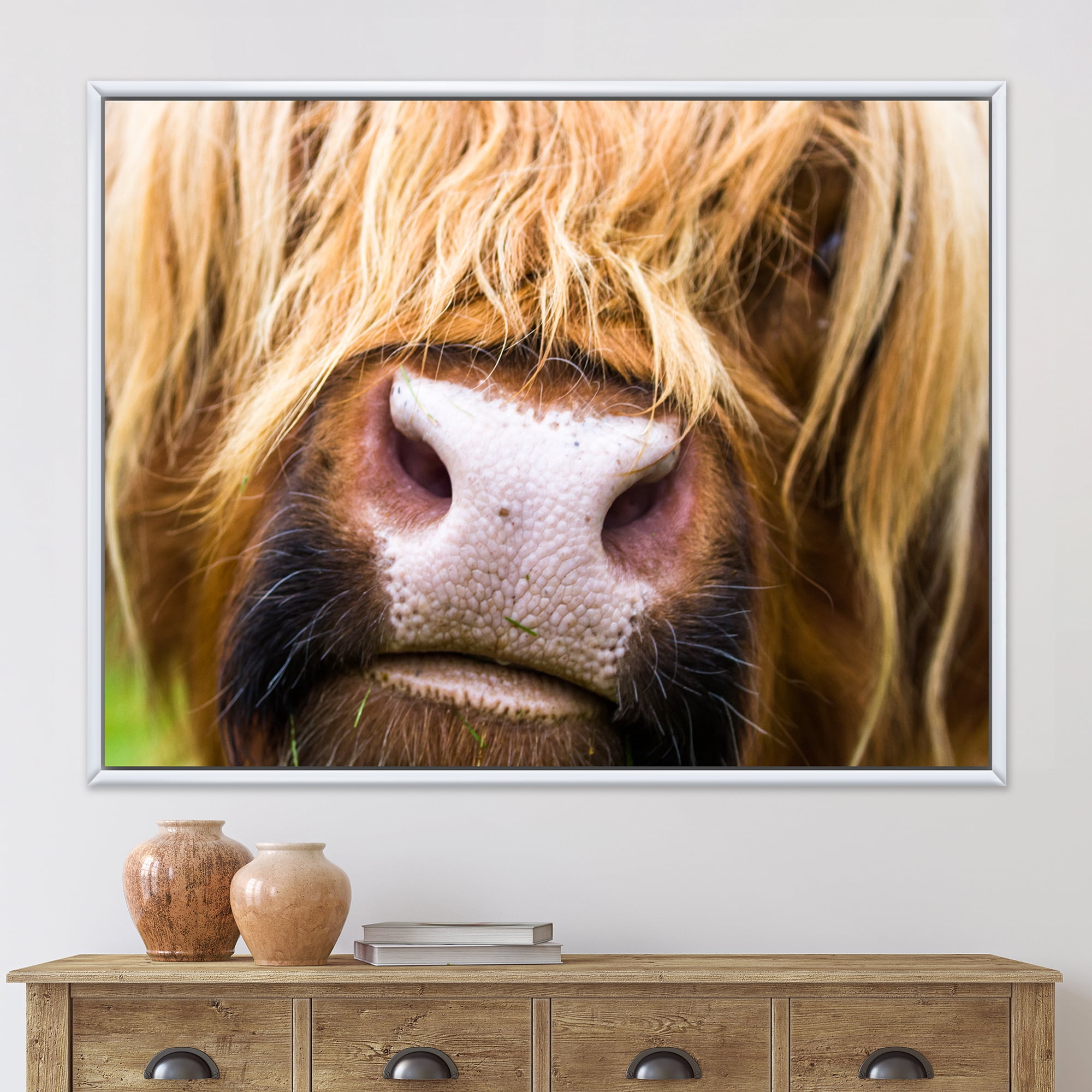 Close-Up Highland Cattle 20 in x 12 in Framed Photography Canvas Art Print, by Designart