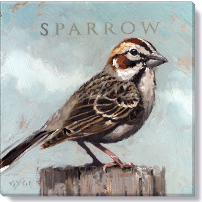 5x7 Giclee Print of Male House Sparrow