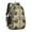 Paw Prints-2, variant on Paw Prints and Bones Backpack for School,Cute School Bag,Schoolbag with Adjustable Shoulder Straps & Padded Back,16.9 Inch