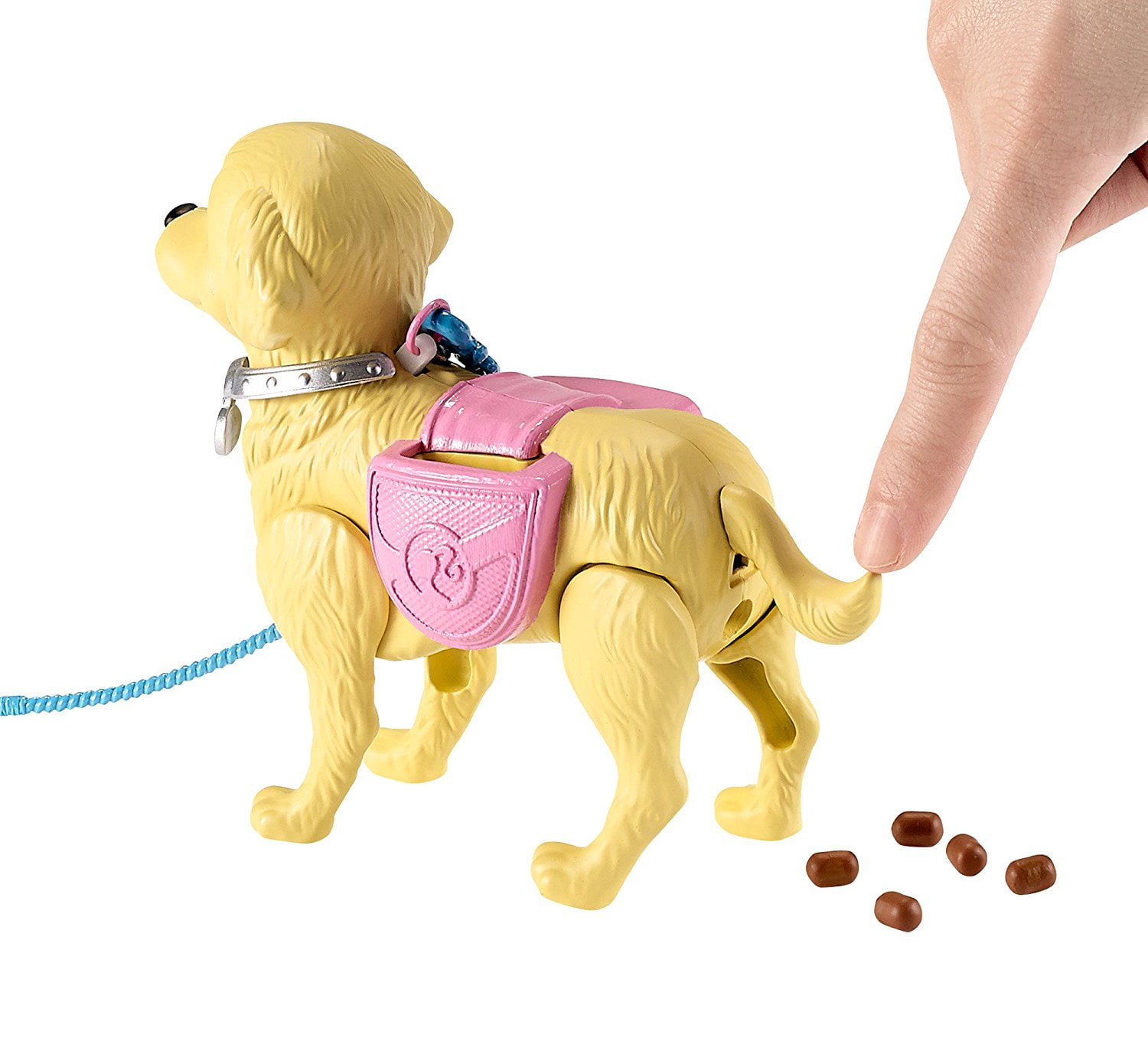 walk and potty pup