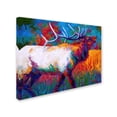 thumbnail image 2 of Trademark Fine Art 'Chorus Elk' Canvas Art by Marion Rose, 2 of 3