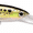 Bunker, variant on Rapala X-Rap Magnum Saltwater Hardbait 20 HD Squid
