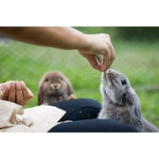 5 Pounds Timothy Complete Rabbit Food Pellets - Great for Small Pets