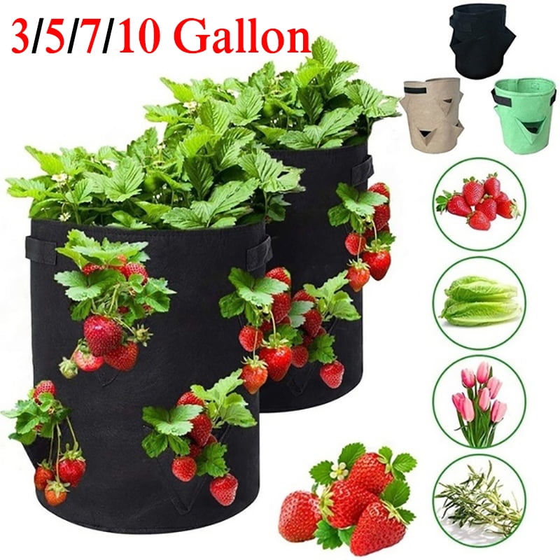 Potato Strawberry Planter Bags For Growing Potatoes Outdoor Vertical Garden 3 5 7 10 Gallons Vegetable Planting Grow Bag Walmart Com Walmart Com