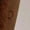 Brown, variant on Women's Knee High Suede Platform Boots Winter Fashion Round Toe High Heel With Side Zipper