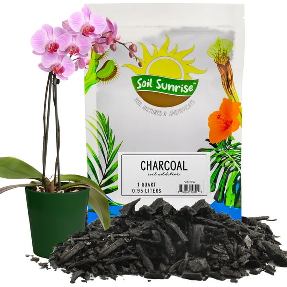 Horticultural Charcoal for Indoor Plants (1 Quart), Hardwood Soil Additive for Orchids, Terrariums, and Gardening