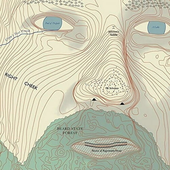 Lawrence Arabia - Absolute Truth - Music & Performance - CD