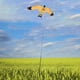 thumbnail image 4 of Realistas águilas apperanc home and garden Farm Kite para niños adultos Juegos y ejercicio al Incluye , el más para niños Home Sharpla cometa repelente de pájaros, 4 of 8