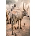 thumbnail image 2 of Cole, Trevor 17x24 Black Ornate Wood Framed with Double Matting Museum Art Print Titled - Mundari Massage, 2 of 4