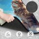 thumbnail image 3 of Fotbe Blue Sky Winged Cat Juego de 4 Tapetes para Auto con Estampado – Alfombrillas de Goma Reforzada, Diseño Antideslizante, Protección para Todo el Año – Vehículos, Autos, Camionetas y SUVs, 3 of 7
