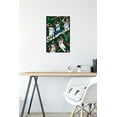 thumbnail image 5 of NBA Milwaukee Bucks - 2021 NBA Finals Champions Wall Poster, 14.725" x 22.375", 5 of 6