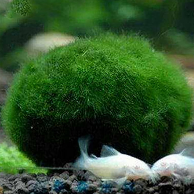 Green Algae Balls Artificial Aquarium Seaweed Balls for Fish Tank