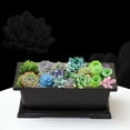 thumbnail image 2 of Mosiee Plastic Flower Pot Plastic Rectangle Bonsai Nursery Balcony Garden Container Yard Garden Outdoor Living, 2 of 9