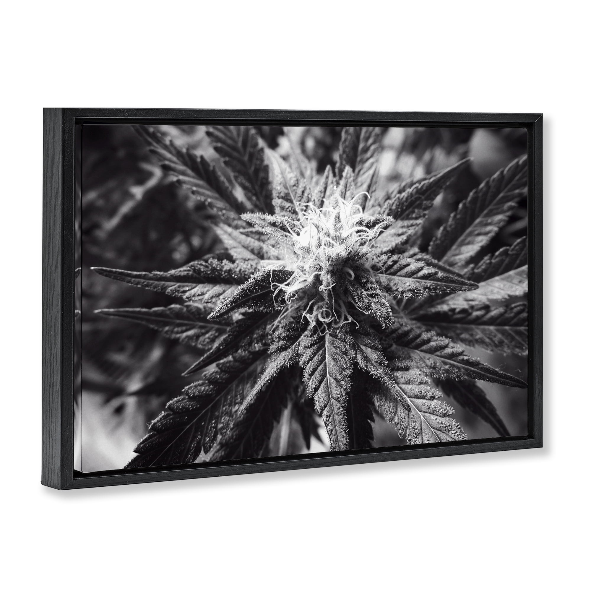 Stupell Industries Dark Cannabis Flower Plants & Flowers Painting Black Floater Framed Canvas Art Print Wall Art, 31 x 21