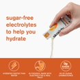 thumbnail image 5 of SKRATCH LABS Sample Pack, Sport Hydration Drink Mix, Sport Energy Chews, Sport Recovery Drink Mix, Anytime Energy Bar, Low Sugar, Gluten Free - Trial Pack, 5 of 5
