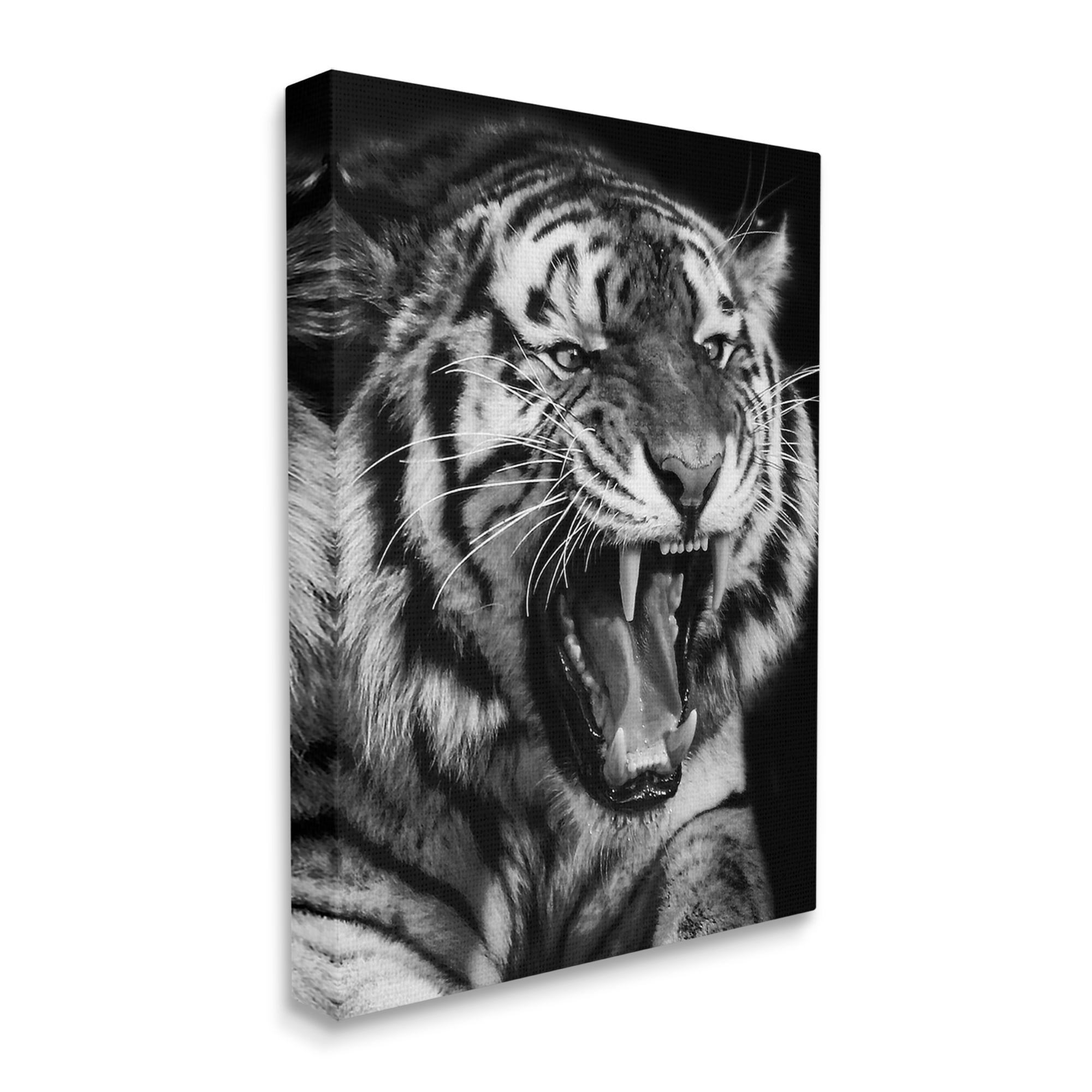Stupell Industries Tiger Roaring Photography Animals & Insects Photography Gallery Wrapped Canvas Art Print Wall Art, 16 x 20