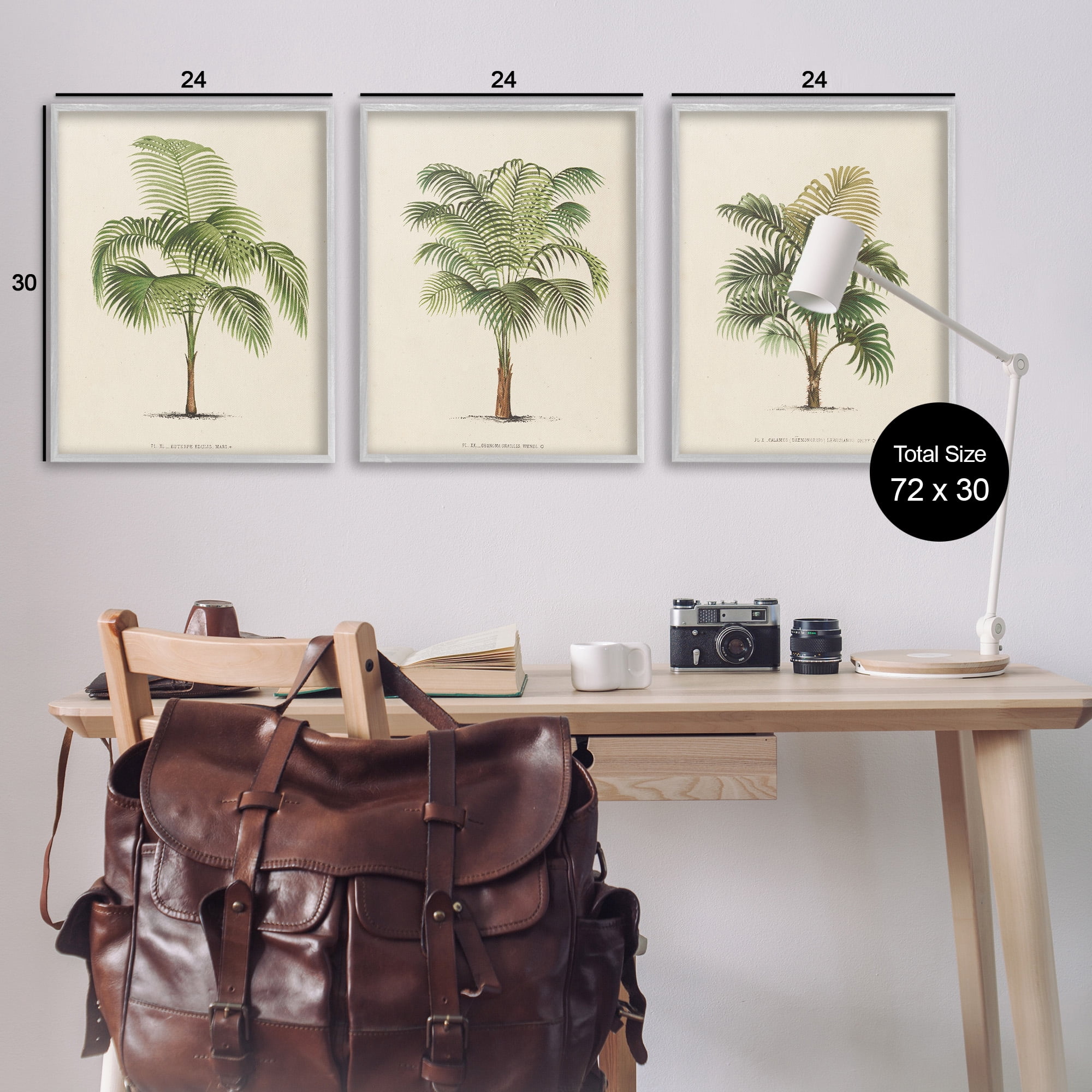Stupell Industries Les Palmiers Botanical Trio Botanical & Floral Painting Gray Framed Art Print Wall Art, 24 x 30, Set of 3