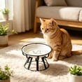 thumbnail image 4 of Elevated Ceramic Cat Bowl With Metal Stand Anti Tip Pet Food Water Bowl Cute Pattern Raised Feeding Dish For Small Medium Cats Dogs Prevent Neck Strain Indoor Pet Feeder, 4 of 6