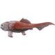 thumbnail image 2 of 2piezas 20 cm Dinosaurios Modelo de Juguete Dunkleosteus Dinosaurio Peces Decoración Figura de Acción Modelo Juguetes para NiñOs Colección Brinquedos, 2 of 5