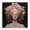 Rococo Ribbon Glamour Woman, variant on Stupell Industries Traditional Rococo Woman Opulent Ribbons Black Framed Giclee Art, 12 x 12, by Grotto Studios