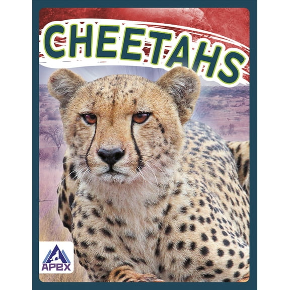 Cheetahs, (Hardcover)